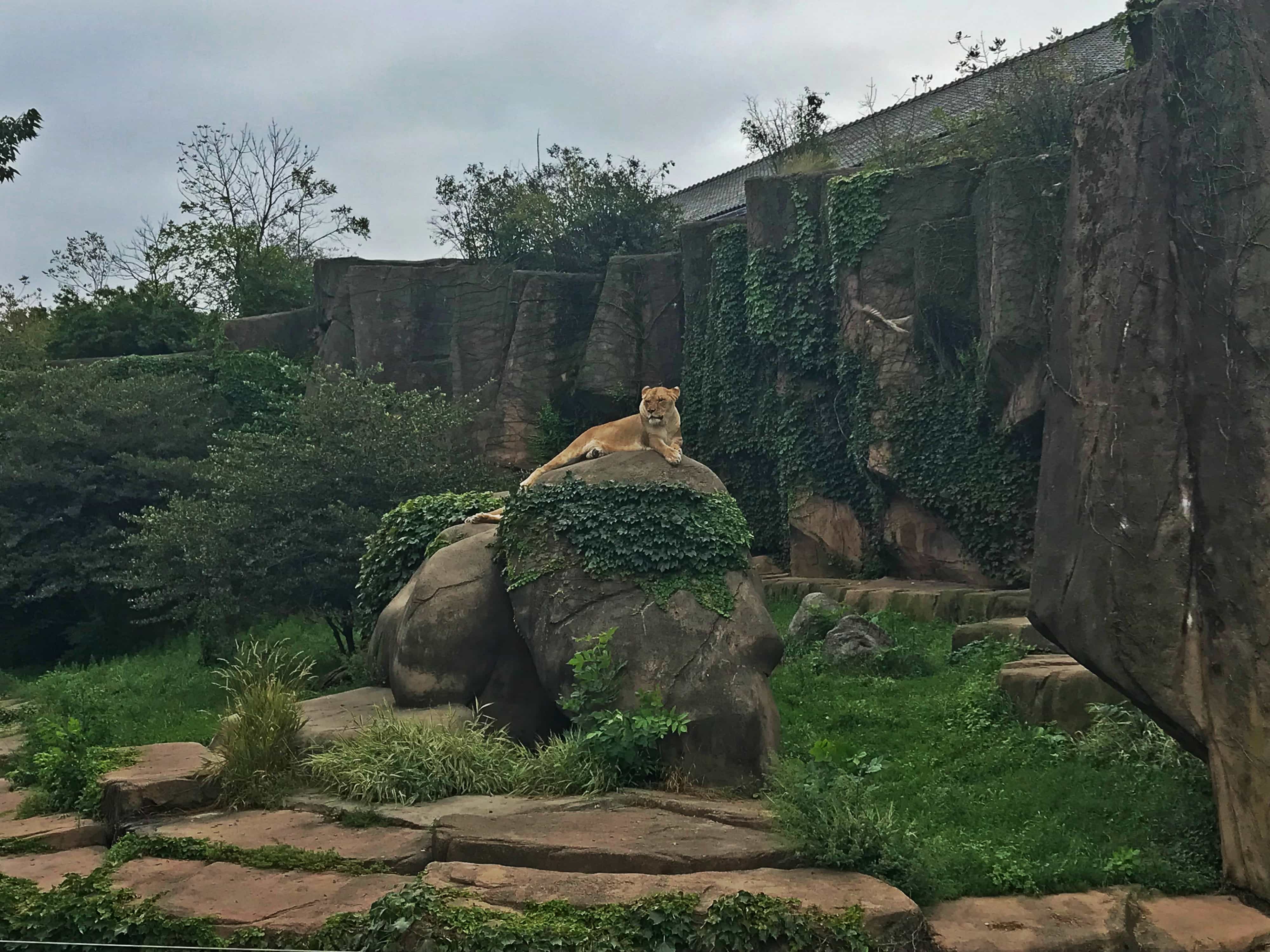 Lincoln Park Zoo