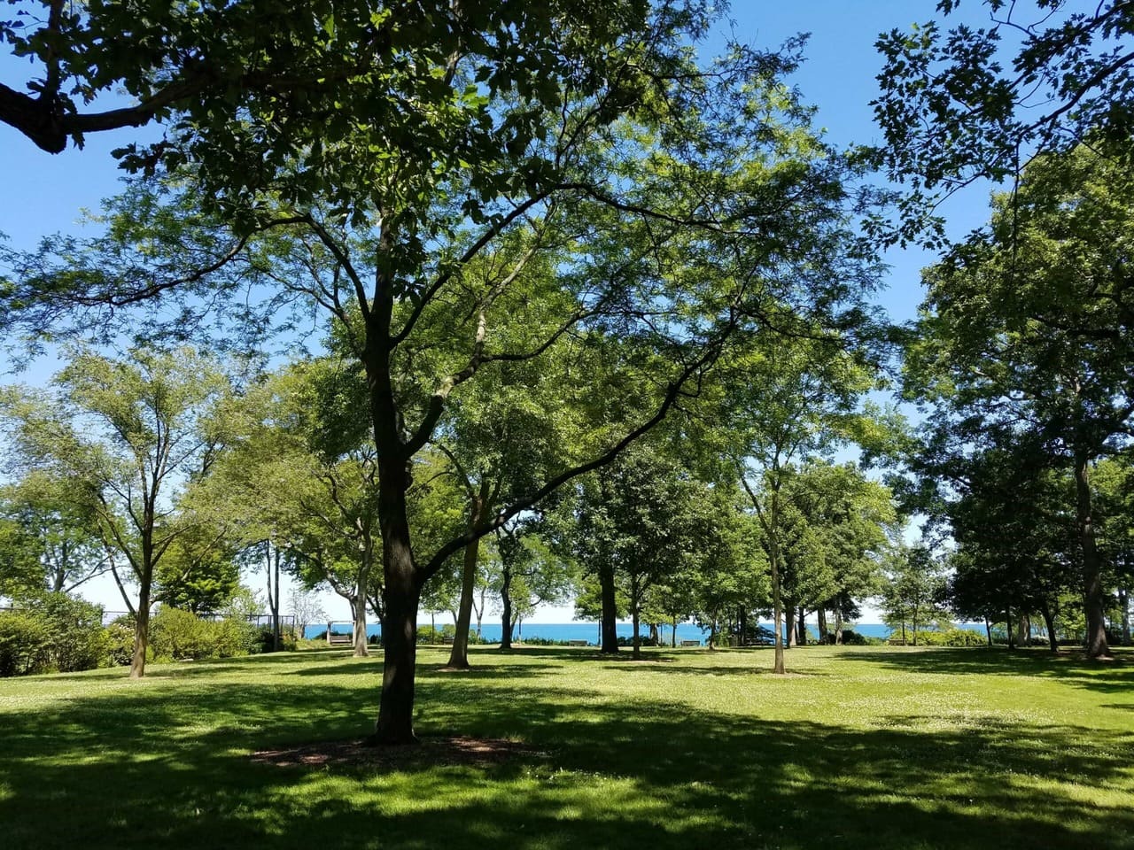 Glencoe Apartments Beal Properties