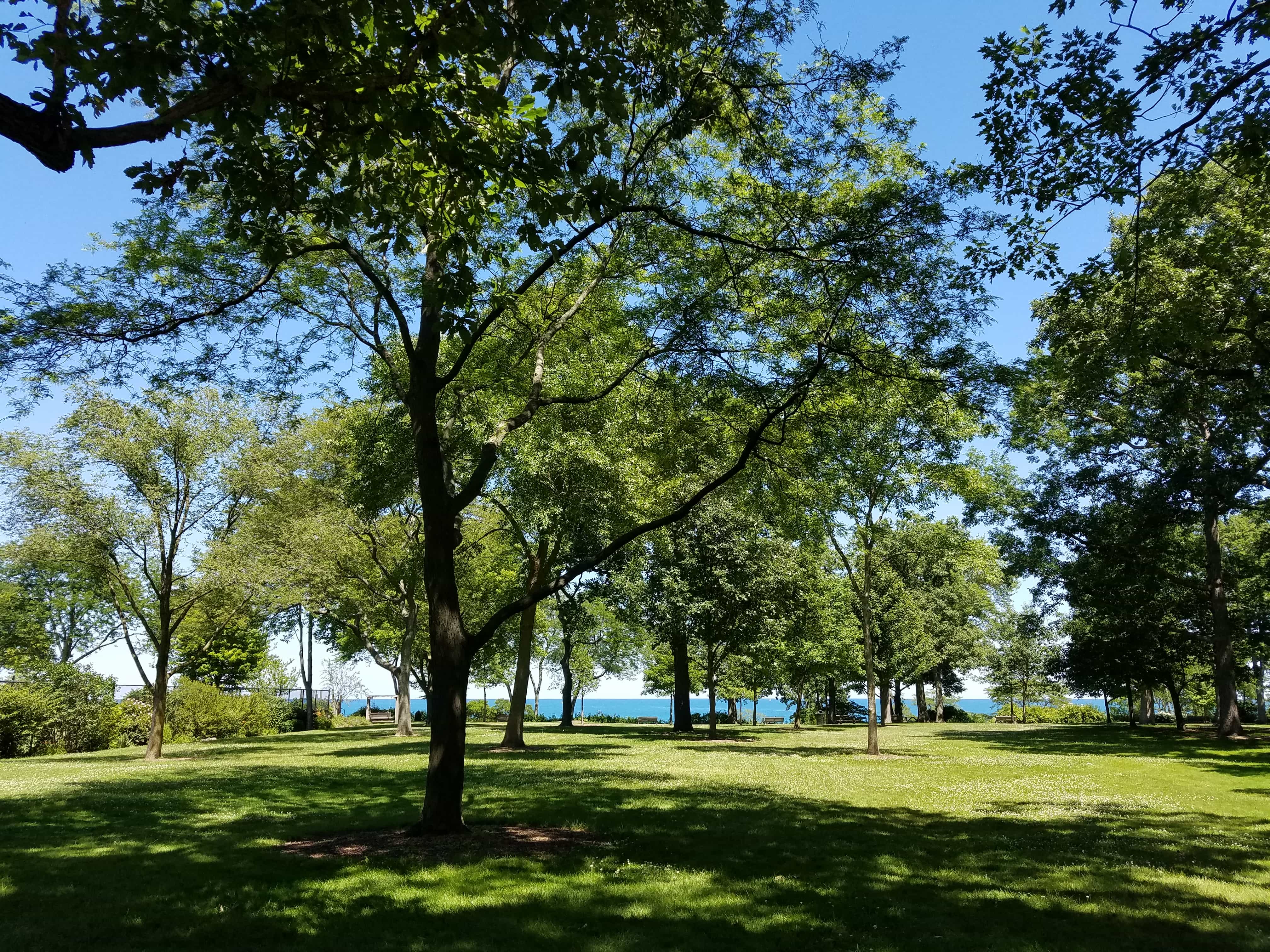 Glencoe Park
